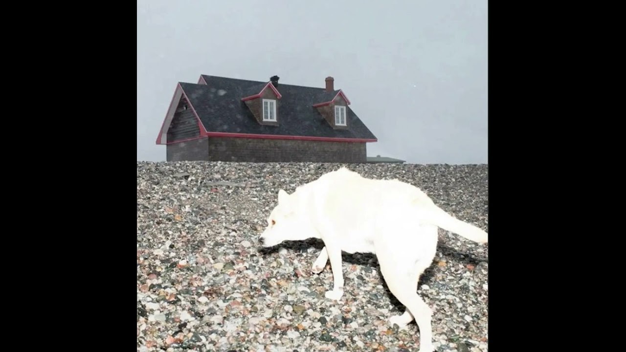 now i know how joan of arc felt - Haldern (full album)
