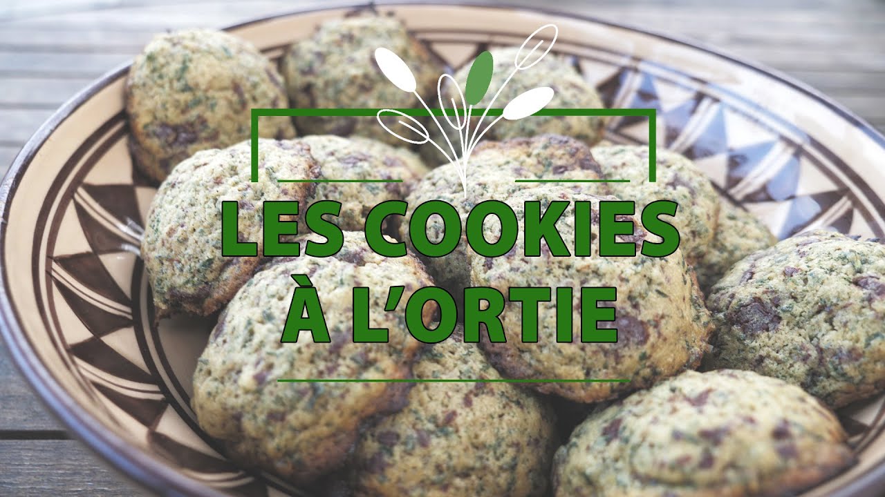 Cuisine sauvage et citoyenne : Épisode 1   Les cookies à l'ortie