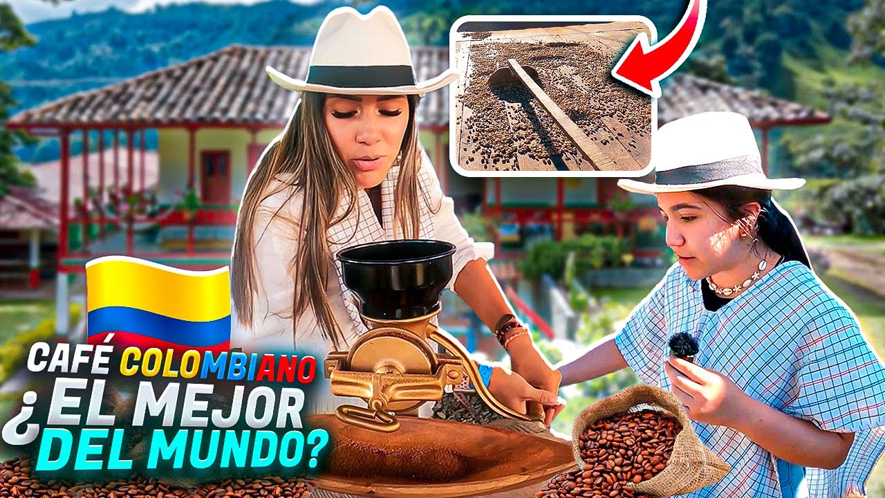 Лучший кофе в мире делают в Колумбии? 🇨🇴
