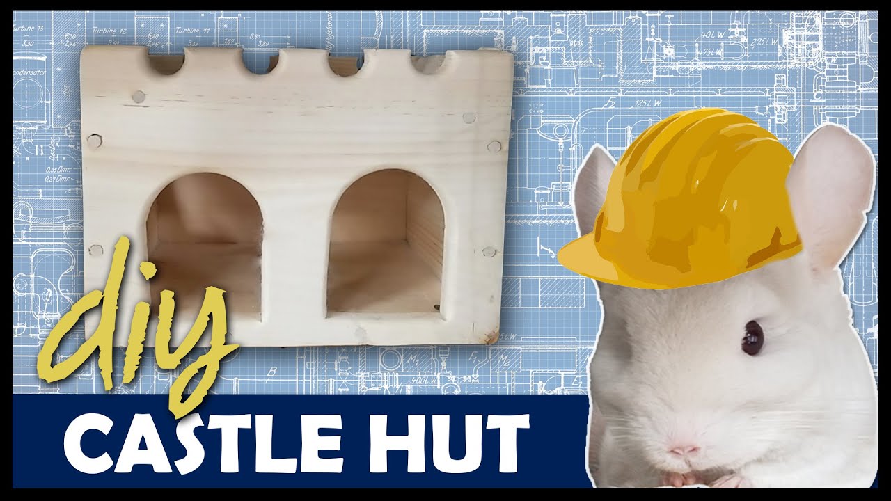 CHINCHILLA HUT DIY VLOG | Watch me Make a DIY Castle Hut WITHOUT ANY NAILS!