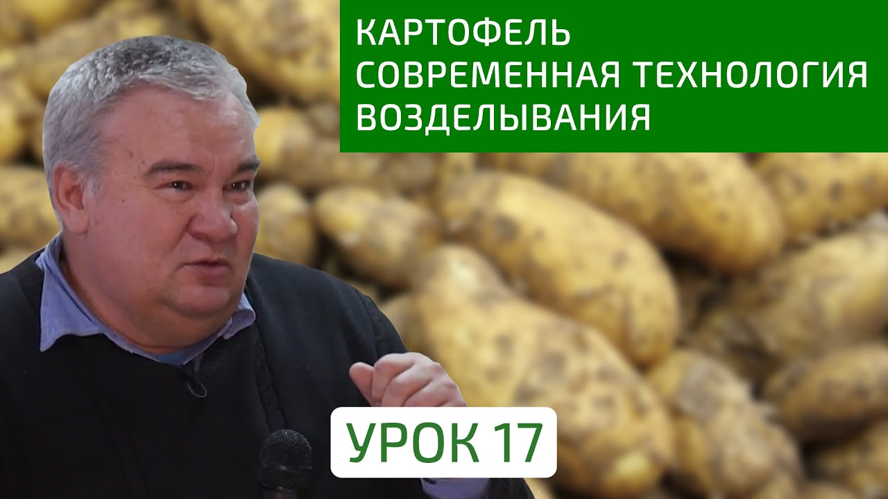 Картофель - современная технология возделывания