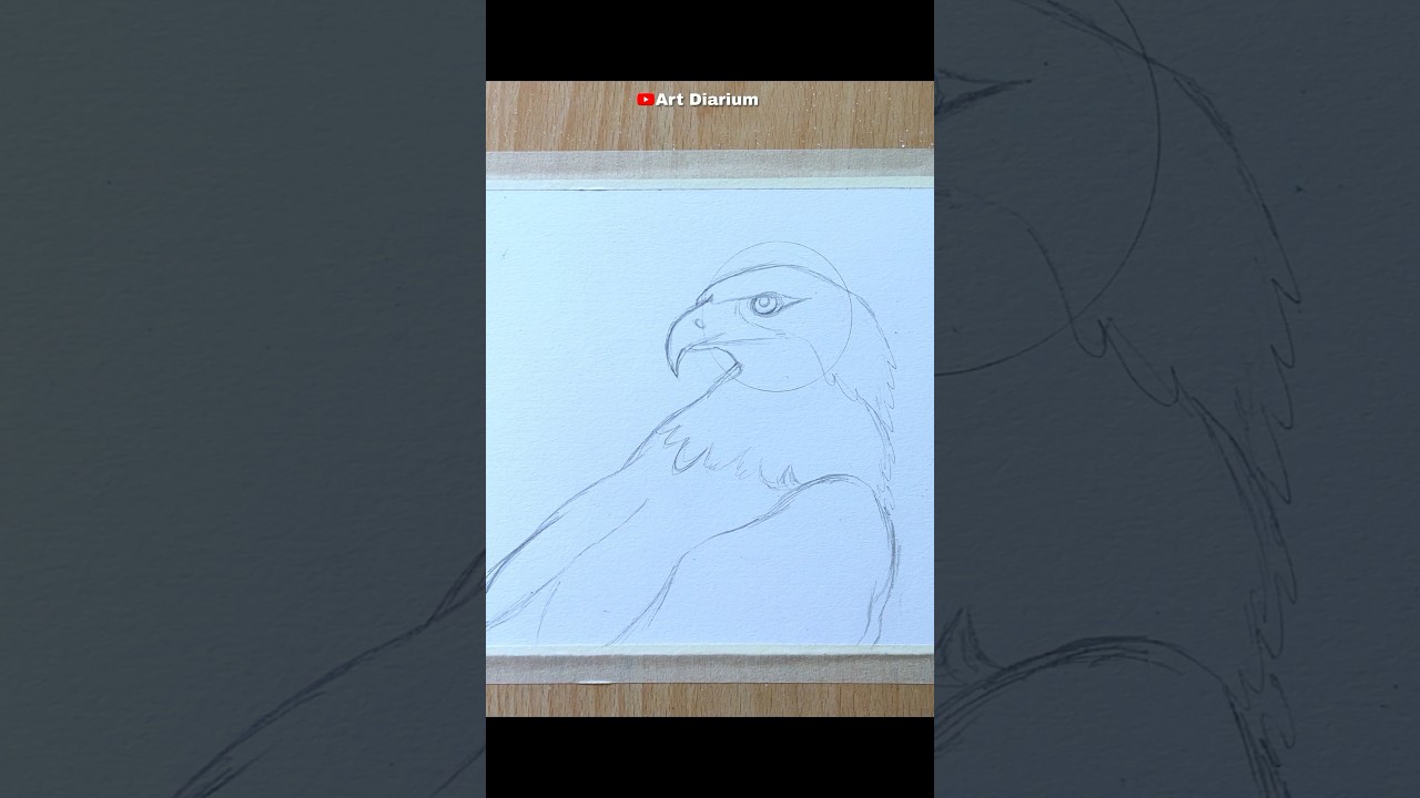 Eagle drawing ✅Full video on Art Diarium &hearts;️#art #eagleart #shorts #artdiarium