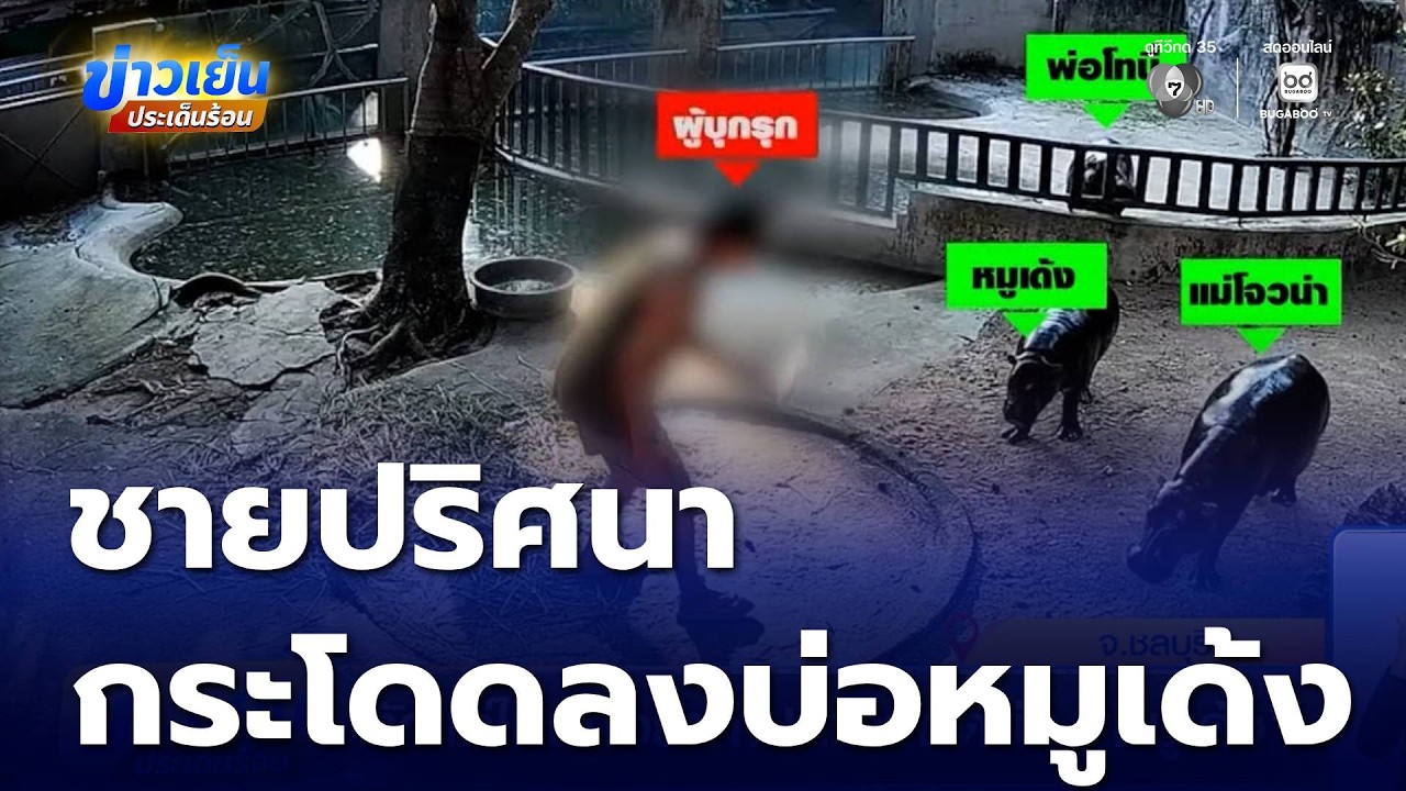 รักแค่ไหนก็อย่าทำ ! ชายปริศนา กระโดดลงบ่อ หมูเด้ง | ข่าวเย็นประเด็นร้อน