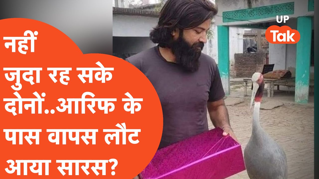 Fact Check: तो क्या आरिफ के पास वापस लौट आया सारस?