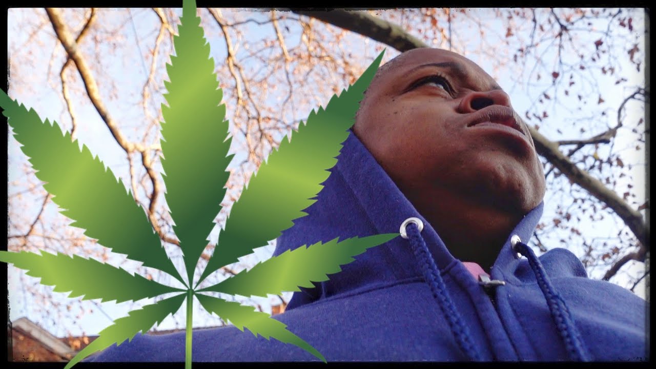 FRESH WEED Vlog #98 @sarkazzvlogs