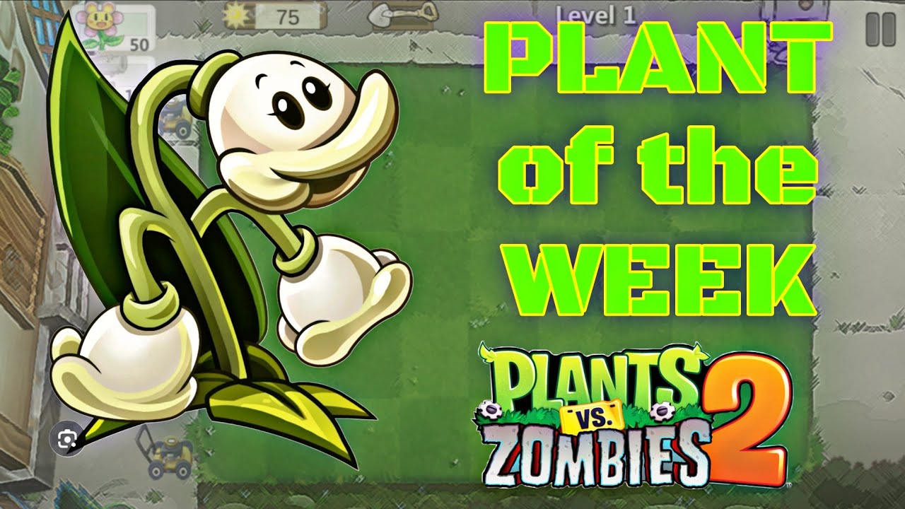 Plants Vs. Zombies 2, Растение недели (MayBee) (1 февраля 2008 г.)