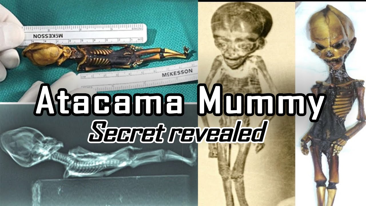 The Atacama Skeleton: Unraveling the Mystery of the Alien-Like Remains