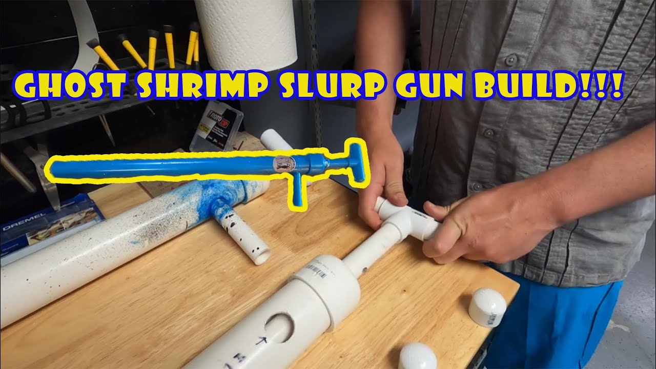 Ghost Shrimp Slurp Gun Build