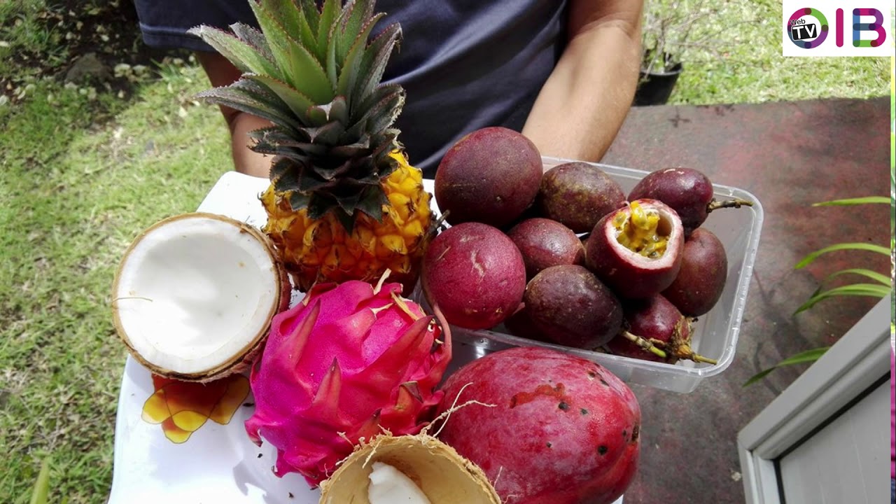 Max Fontaine - Agriculteur Agroécologique - île de La Réunion