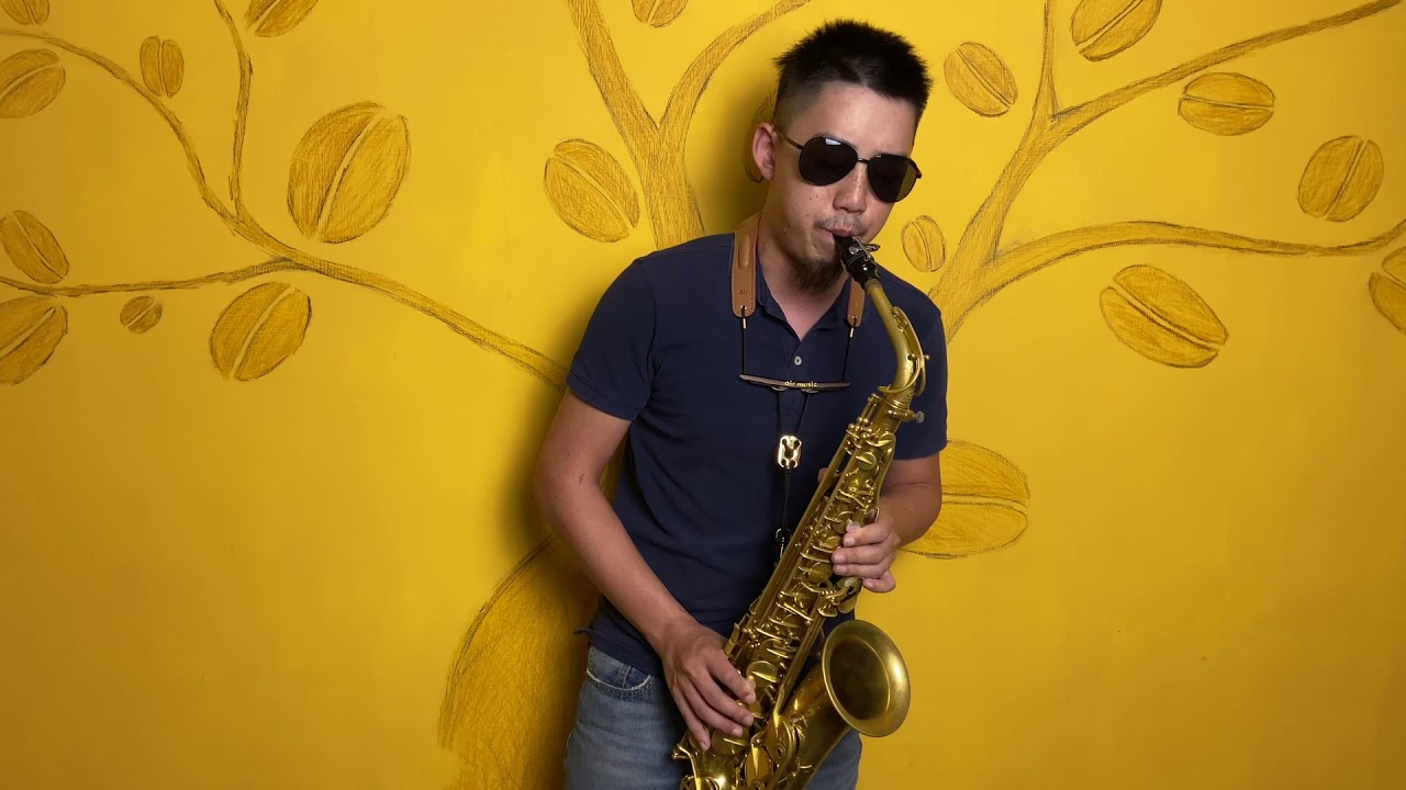 林俊傑 - 她說 Saxophone Cover by 鬍子薩克