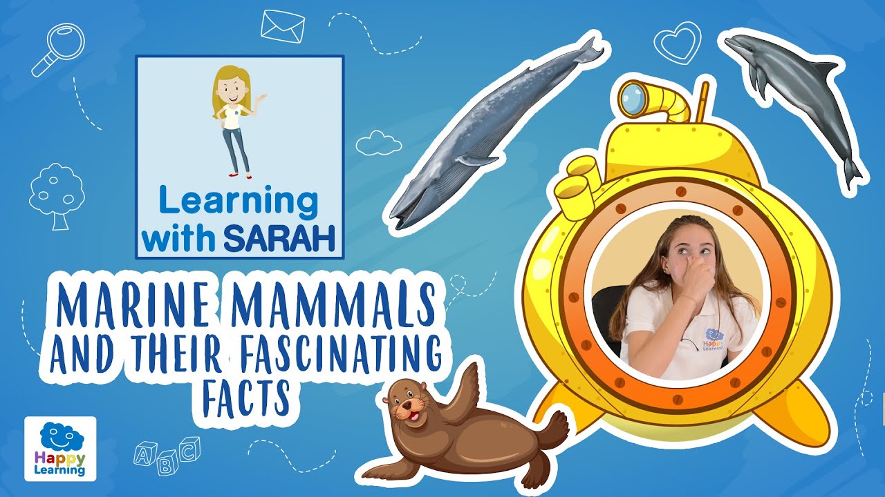 MARINE MAMMALS and their fascinating facts | LEARNING WITH SARAH | EDUCATIONAL VIDEOS FOR KIDS