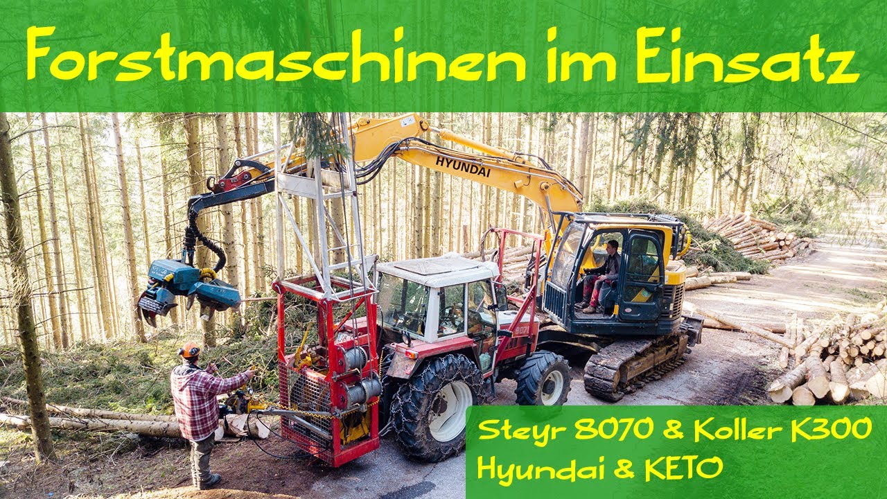 Koller K300 im Einsatz 🌲 Hyundai Keto Steyr