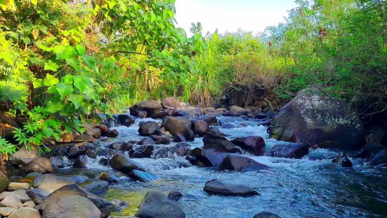 River Flow For Mental Clarity & Productivity 4K • 1 Hour River Stream Ambience