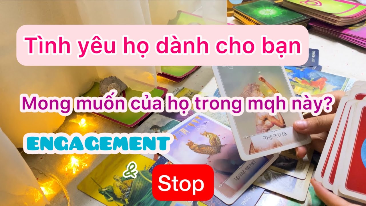 TÌNH YÊU HỌ DÀNH CHO BẠN - MONG MUỐN CỦA HỌ TRONG MỐI QUAN HỆ NÀY?_Chọn 1 tụ bài