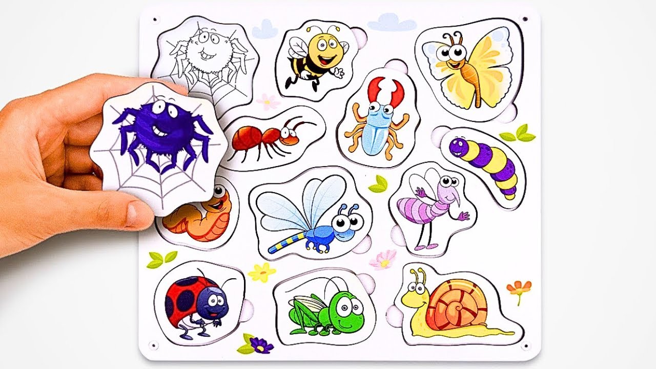 Best Learning Insect and Bug Names in English with Puzzles for Toddlers & Kids