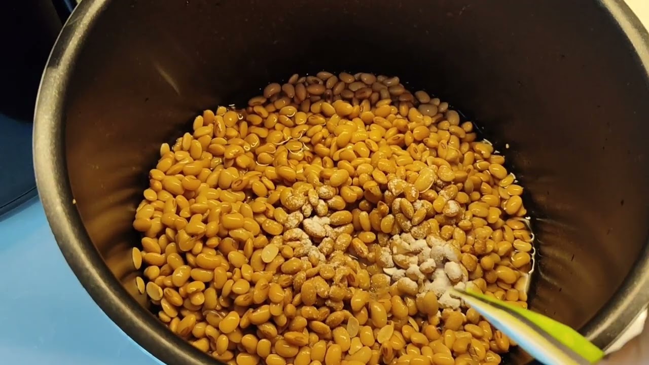 Natto Japon fasulyesi fermente yapımı /Japanese soya beans Natto  fermentation.
