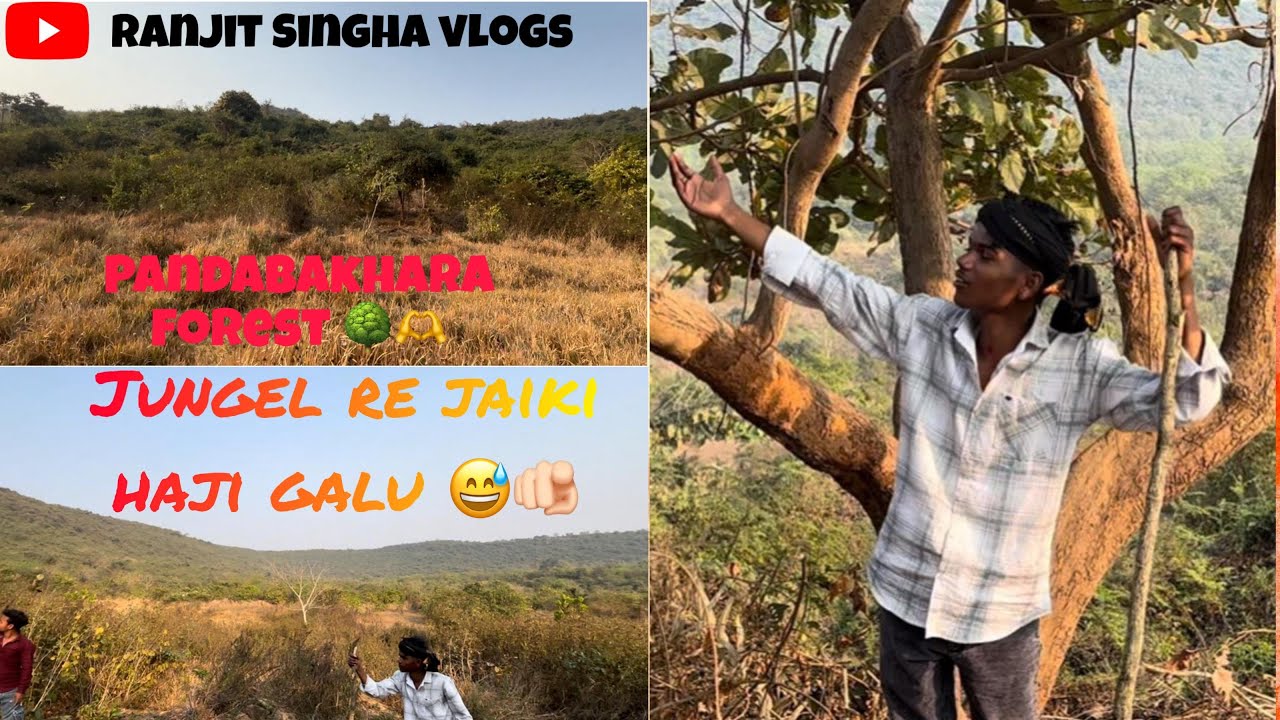 Pandavakhara forest 🌳 🫶 // road bhula 😅😜 // #odisha #odiavlog 