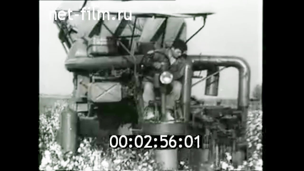 1960г. совхоз Пятилетка Ташкентская обл