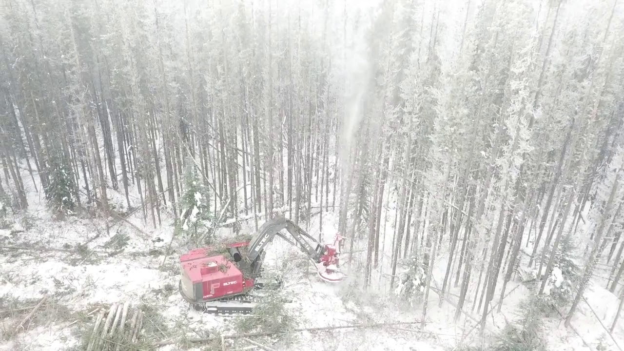 Eltec 317FB Feller Buncher with Quadco 24B Cutting in the Fog