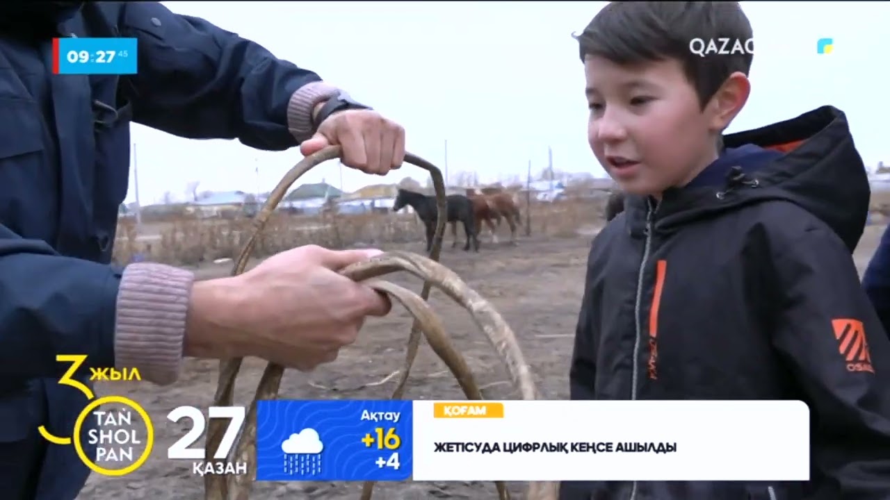 Шалма тастап, асау үйреткен 11 жасар Иманәли