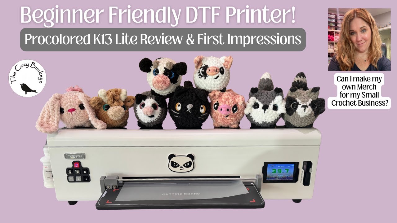 DTF-принтер для начинающих! Обзор и первые впечатления от Procolored K13 Lite