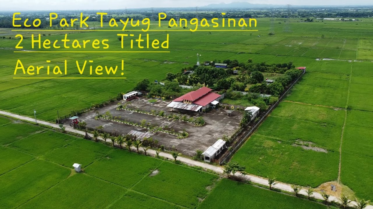 ECO PARK 2 HECTARES IN TAYUG PANGASINAN AERIAL VIEW TITLED SELLER NAME!