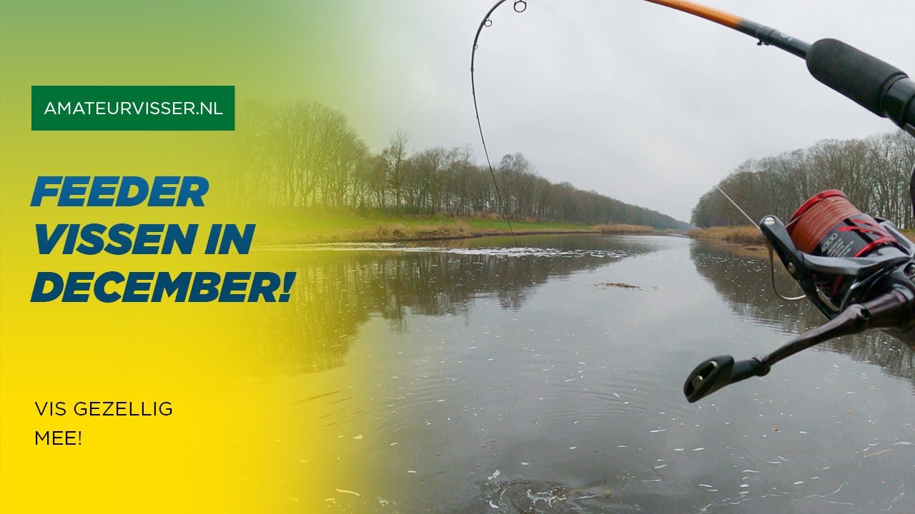 FEEDER VISSEN in DECEMBER met VOERTIPS en UITLEG