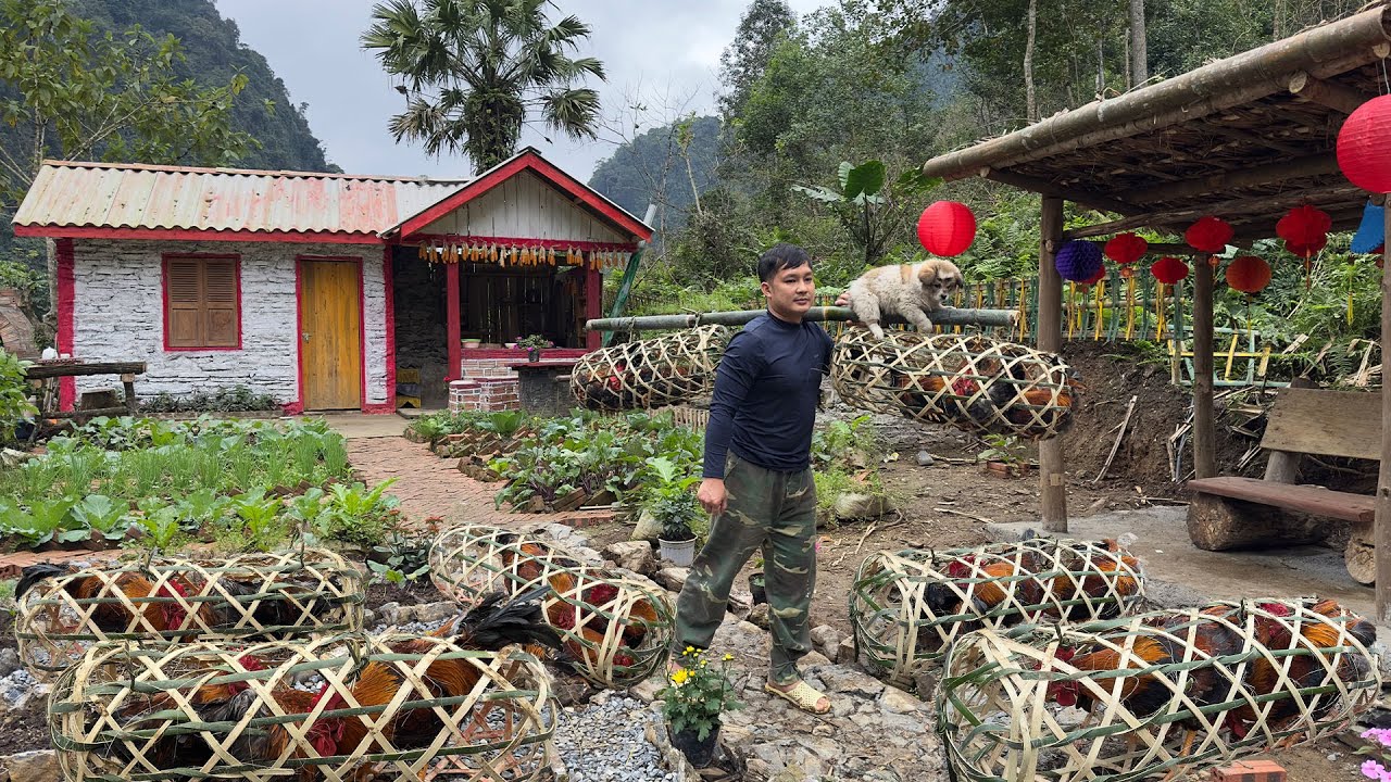 Using Bamboo to Weave a Chicken Cage | Harvesting Roosters, Selling & Cooking