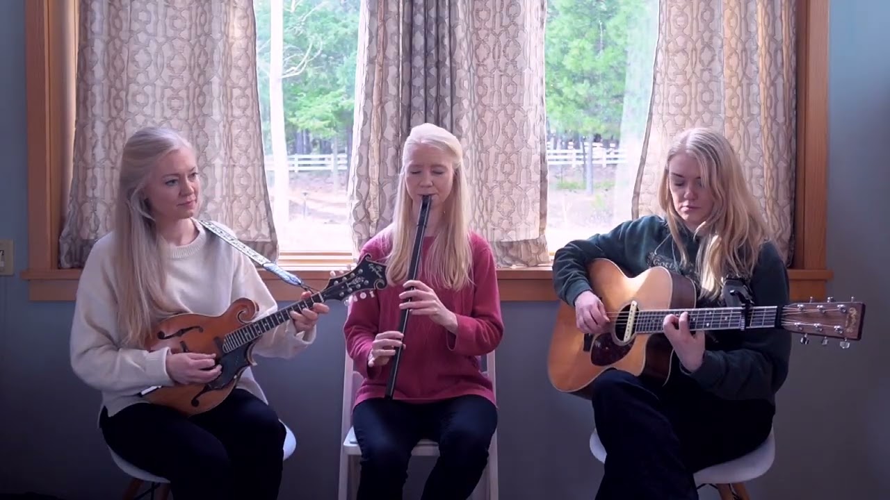 healer 🎻🌿 acoustic video