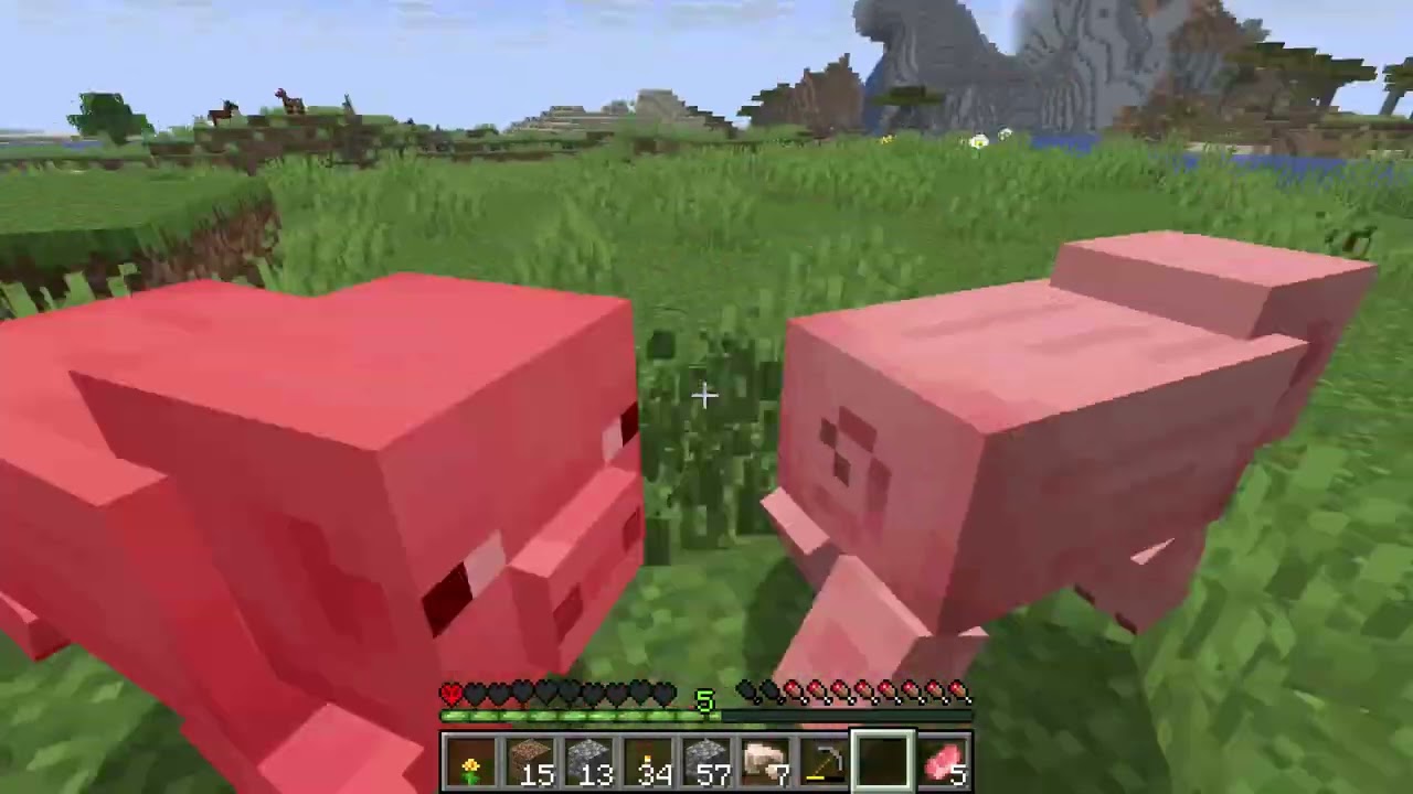 Minecraft HARDCORE