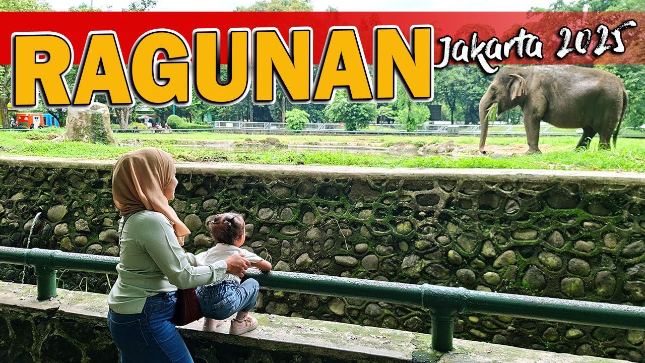 Liburan Keluarga Seru! 😆 One Day Trip ke Ragunan – Liburan Keluarga di Kebun Binatang Jakarta 🐘🐒🐯