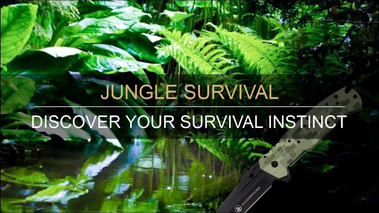SURVIVAL | Discover Your Survival Instinct