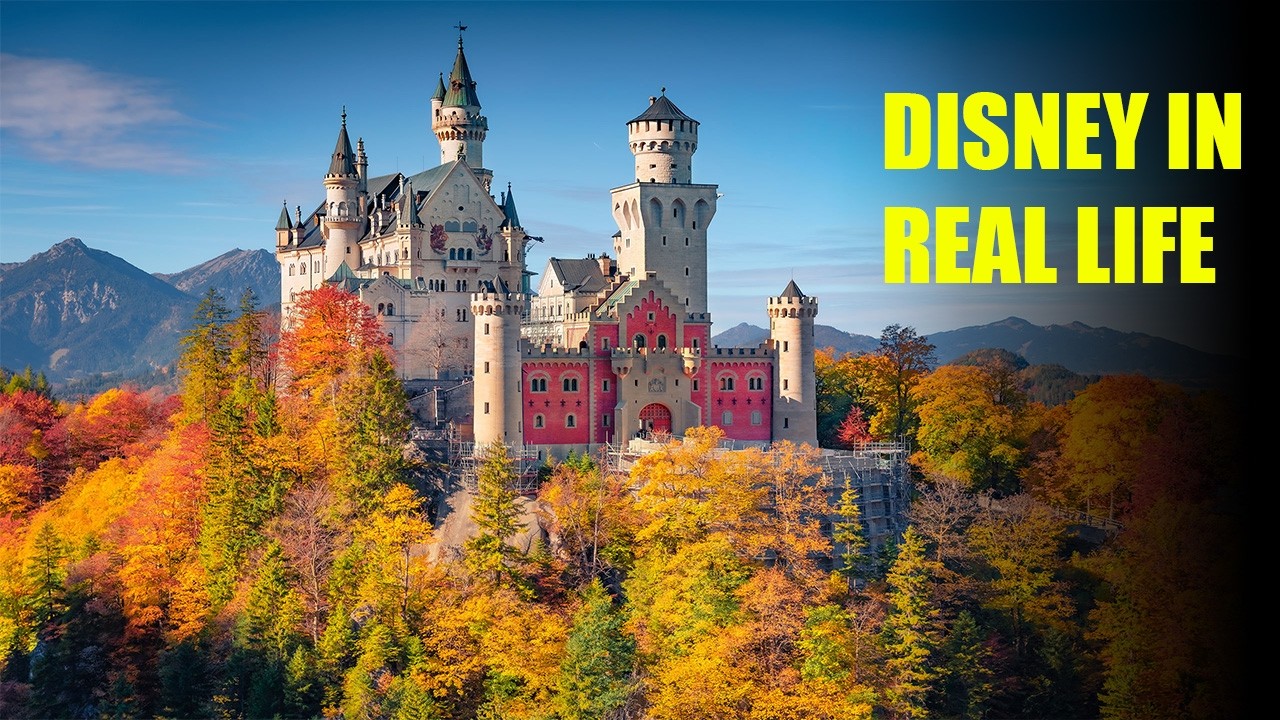 Neuschwanstein Castle. disney in real life. the wonders.