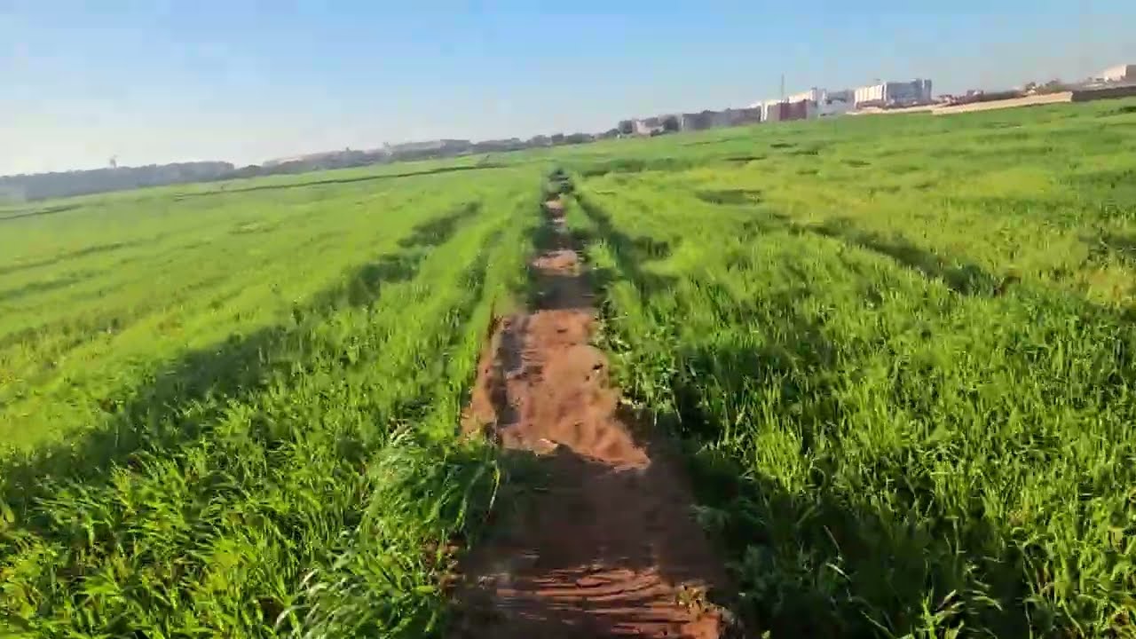 المناضر الخضراء في المغرب 🇲🇦 كل الأماكن خضراء ياله من منضر جميل في الطبيعة  