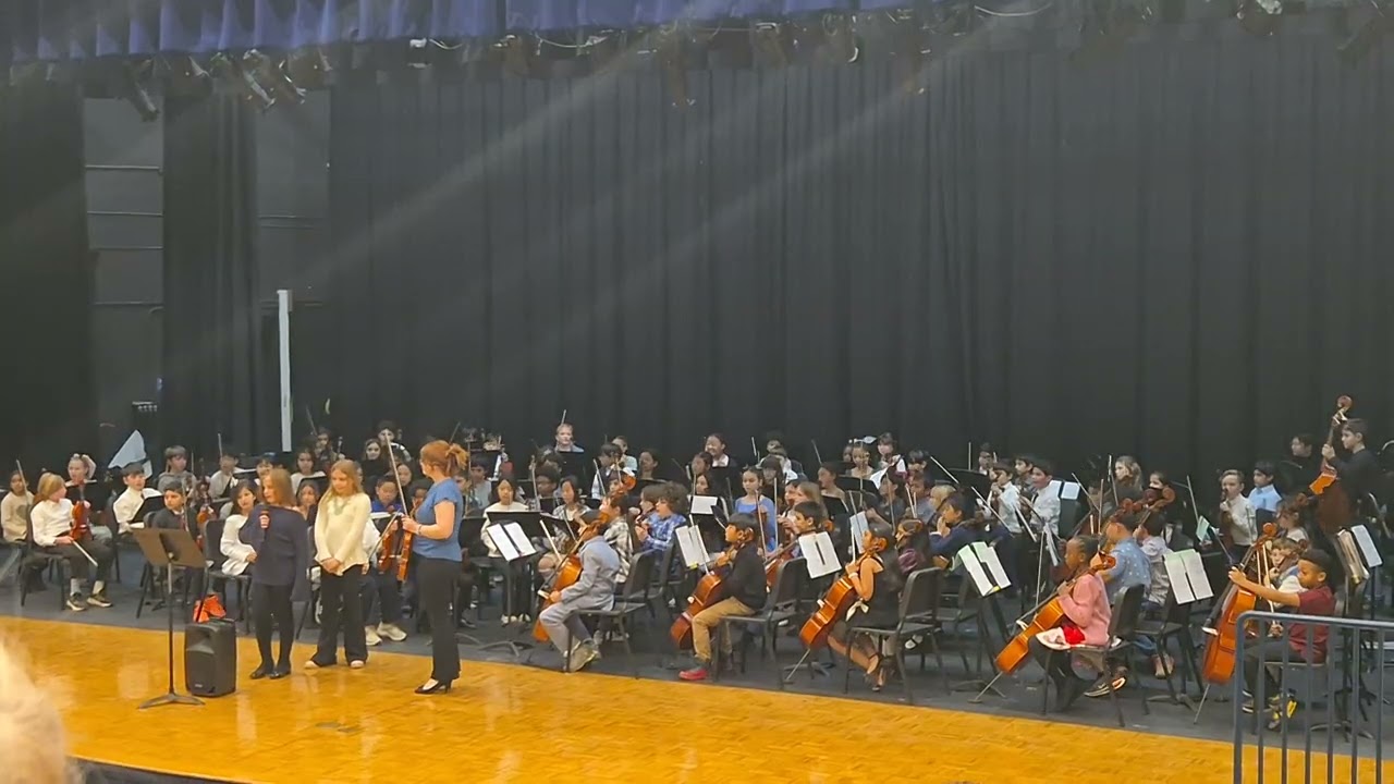 Violin 🎻  Concert 