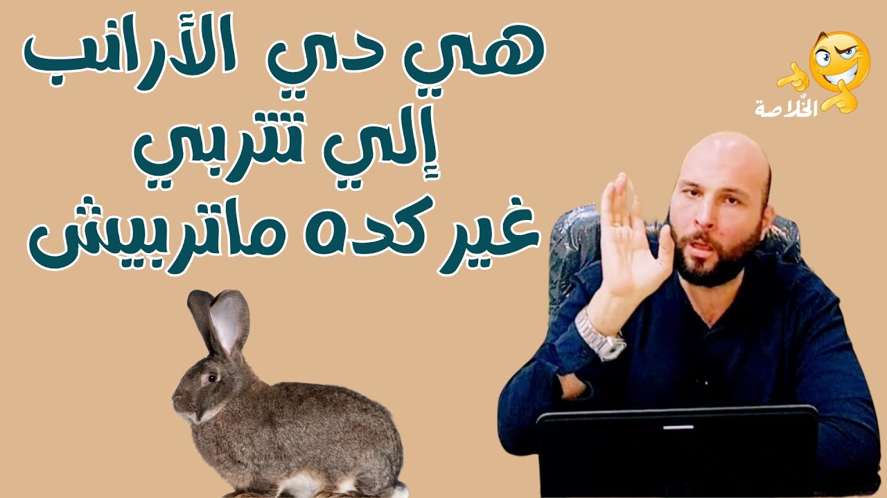 هي دي  الارانب الي تتربي غير كده ماتربيش