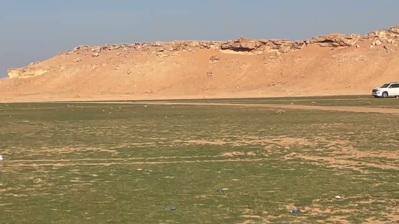 جولة مسائية في روضة أم حجول غرب أم الجماجم الخميس ٣١ / ٧ / ١٤٤٦ هـ