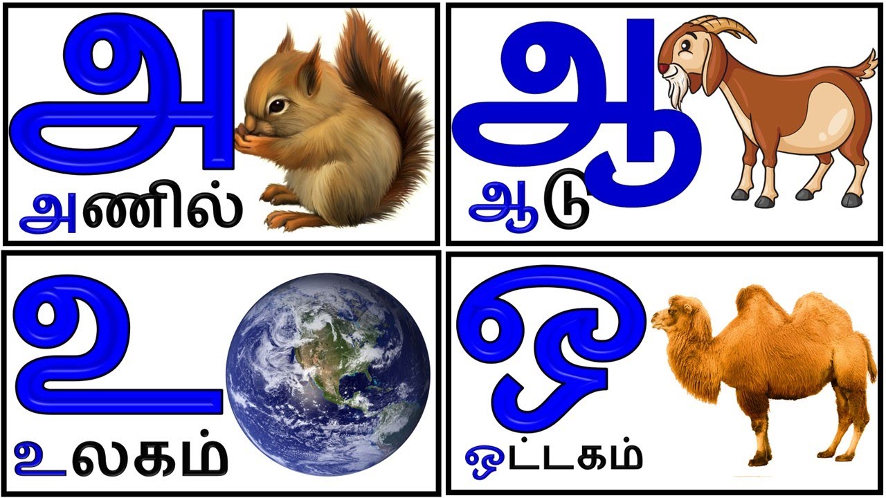 அஆஇஈ உயிர் எழுத்துக்கள்/Uyireluthukkal/Tamil Alphabets/Aaaaeiee