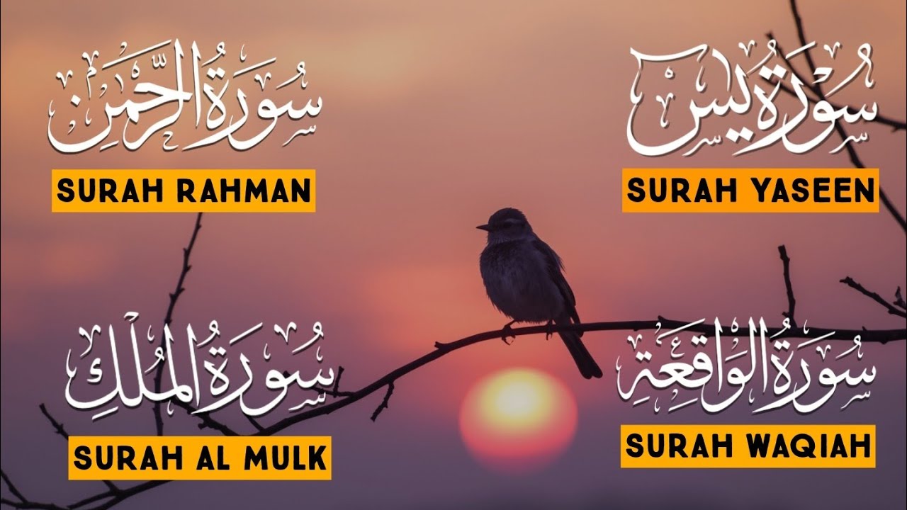 4 Surah that Solve All Problems | Surah Yasin, Rahman, Waqiah, Mulk | Sohail Al Shuraim