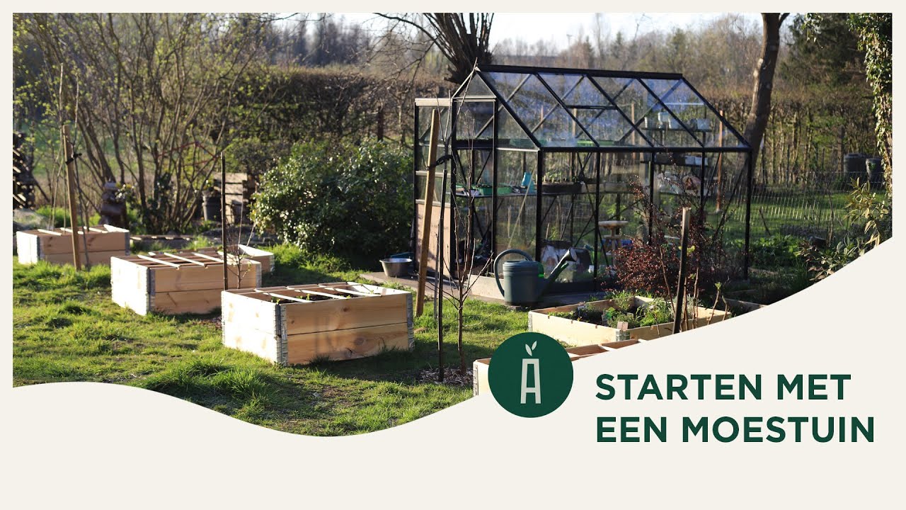 Starten met een moestuin in de tuin van Ingrid I Tof in den hof #1 I Angelo Dorny