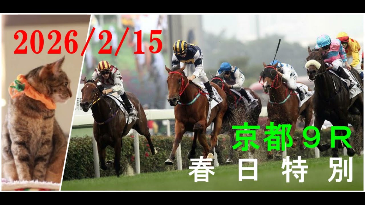 2026/2/15　京都９レース　春日特別　枠順確定