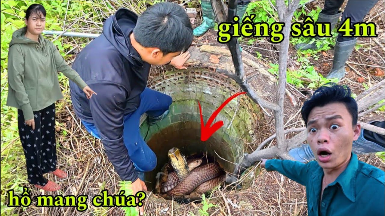 Khẩn Cấp 2 Anh Em Liều Xuống Giếng Sâu Phát Hiện 2 Con Rắn Hổ Mang Cực Khủng 