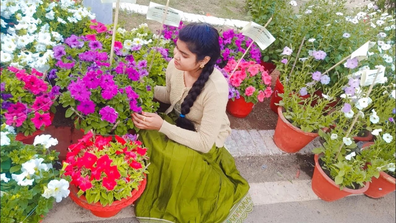 👉 prayagraj company garden Flower Exibition 2026🌺🌹🌸 /Allahabad Flower show vlog😃#prayagraj#dailyvlog