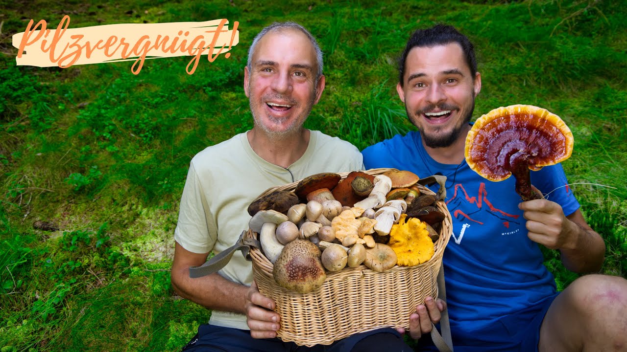 Traumhafte Artenvielfalt im Hochsommer 2025 🤩 Hexenröhrlinge, Reishi´s, Semmelstoppelpilze uvm.