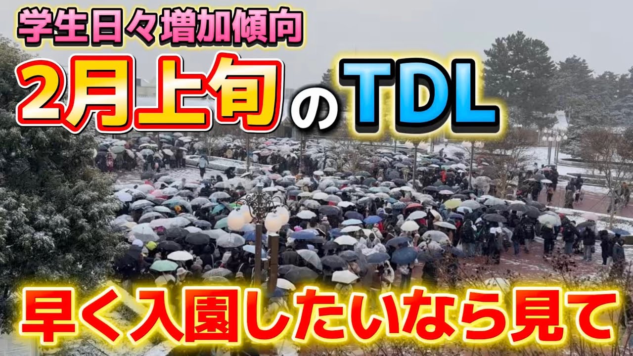【失敗します】学生増加で閑散期ほぼ終了⁉️2月上旬のディズニーランドに早く入園する方法【開園待ち攻略法】