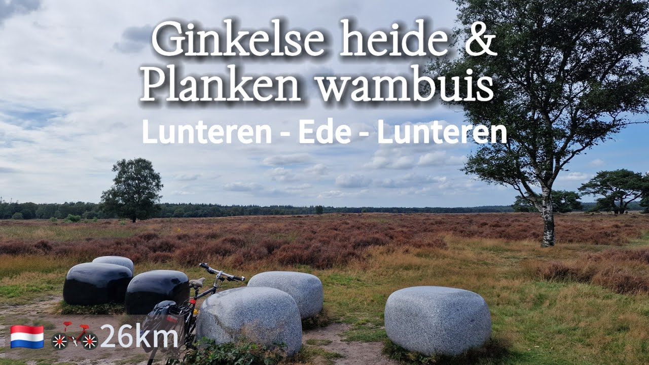 Bikeride 26km: Lunteren - Ede - Ginkelse heide - Planken wambuis, Veluwe, Gelderland, Netherlands 🇳🇱