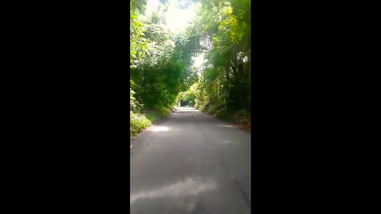 Kitson Town St. Catherine  (quick 2 mins view)