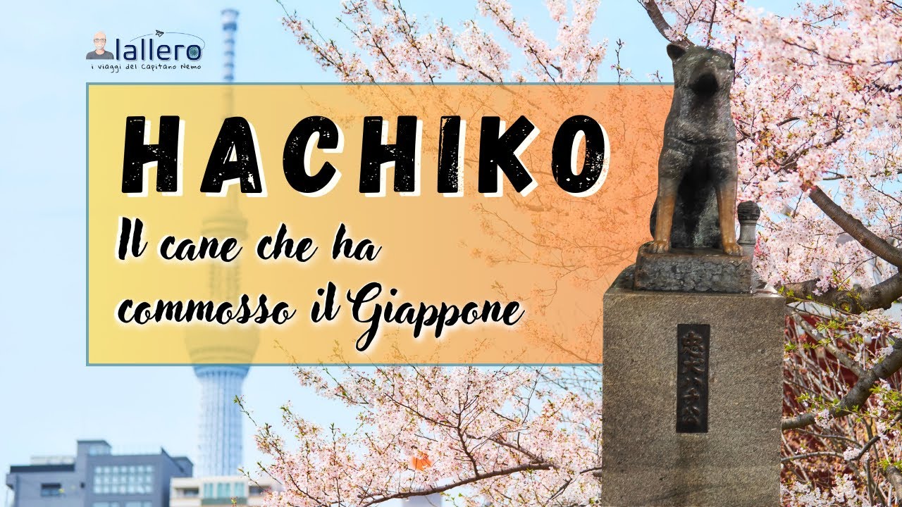 La storia di Hachiko, il cane che ha commosso il Giappone.