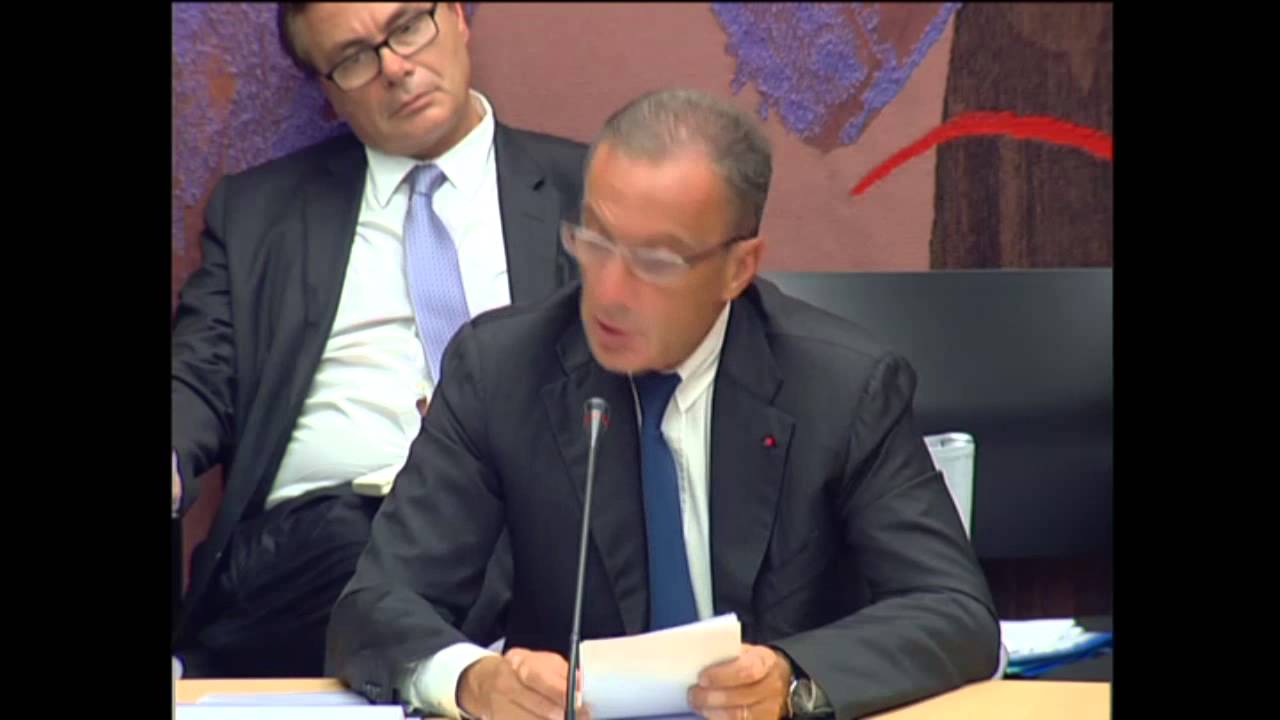 Assemblée Nationale - Transition Energétique - Henri Proglio