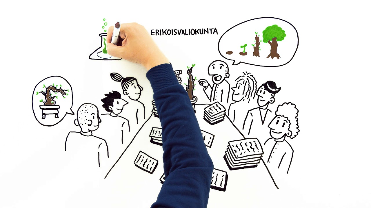 Eduskunta - näin laki syntyy